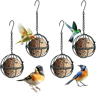 Suet Balls For Birds Picks collage image 2
