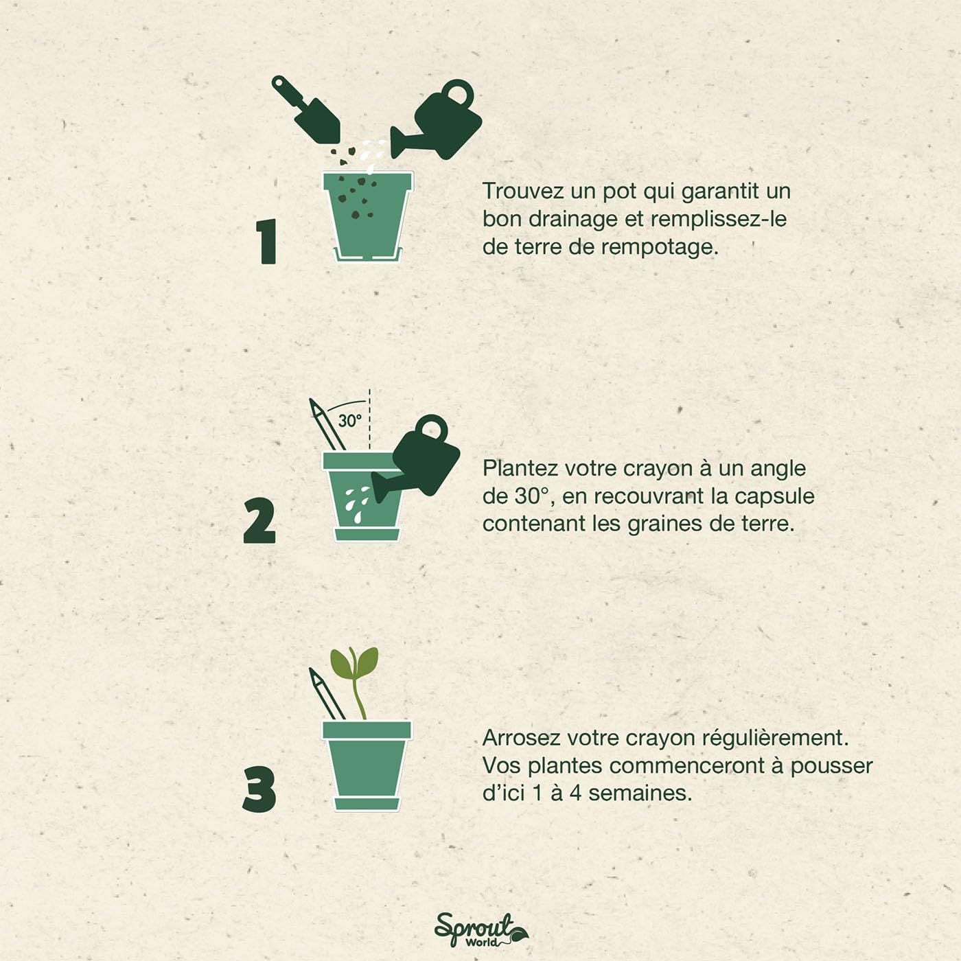 Sprout World Lápices | Bundle Edición Maestros + Original | Set de 40 Lápices de Grafito Plantables con Semillas de Flores, Hierbas y Vegetales | Madera Ecológica | Regalo Sostenible para Profesores