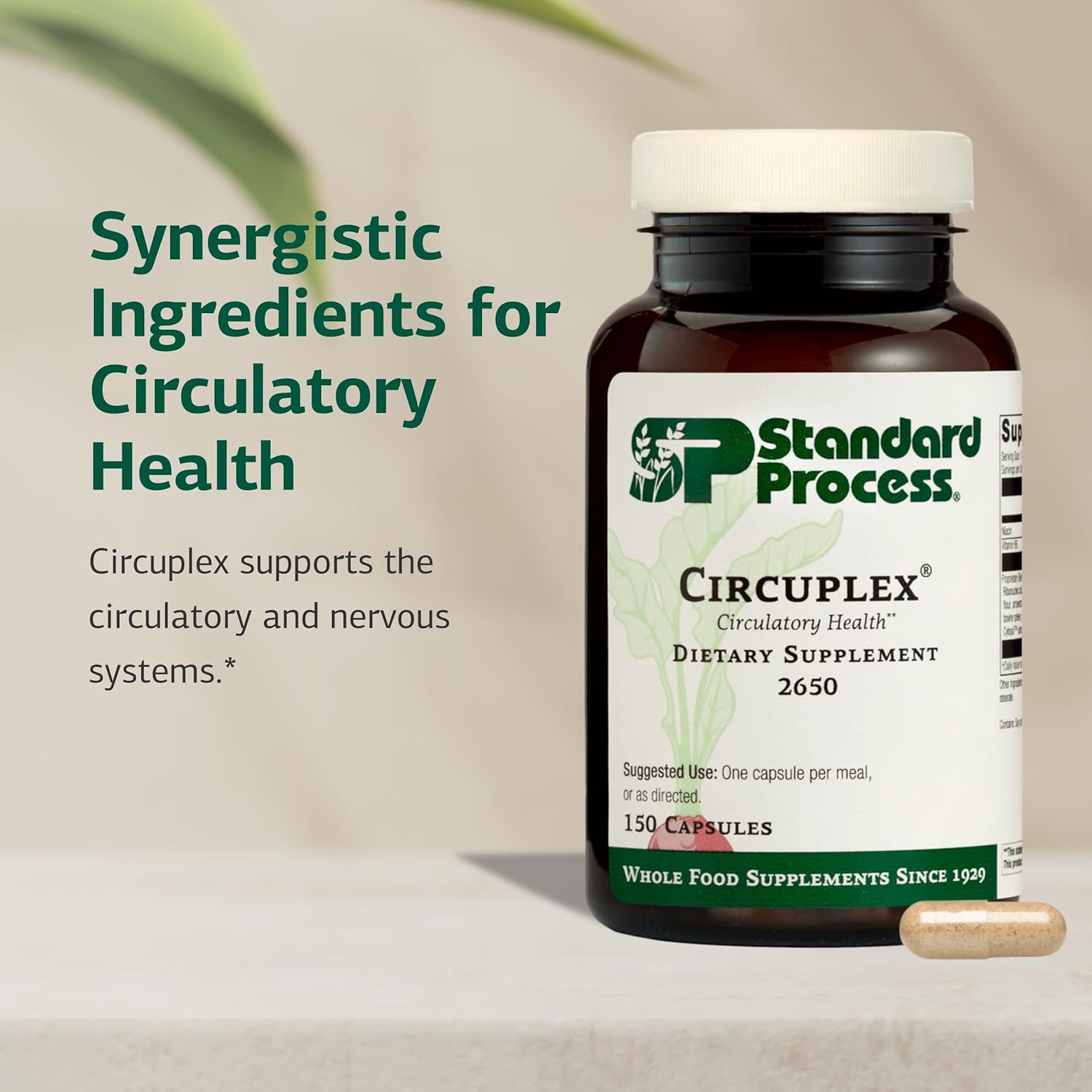 Standard Process Circuplex - Vascular & Nervous System Support - Blood Health Supplement with Niacin & Vitamin B6 - Non-Dairy, Whole Food-Based Supplement - 150 Capsules - Image 3
