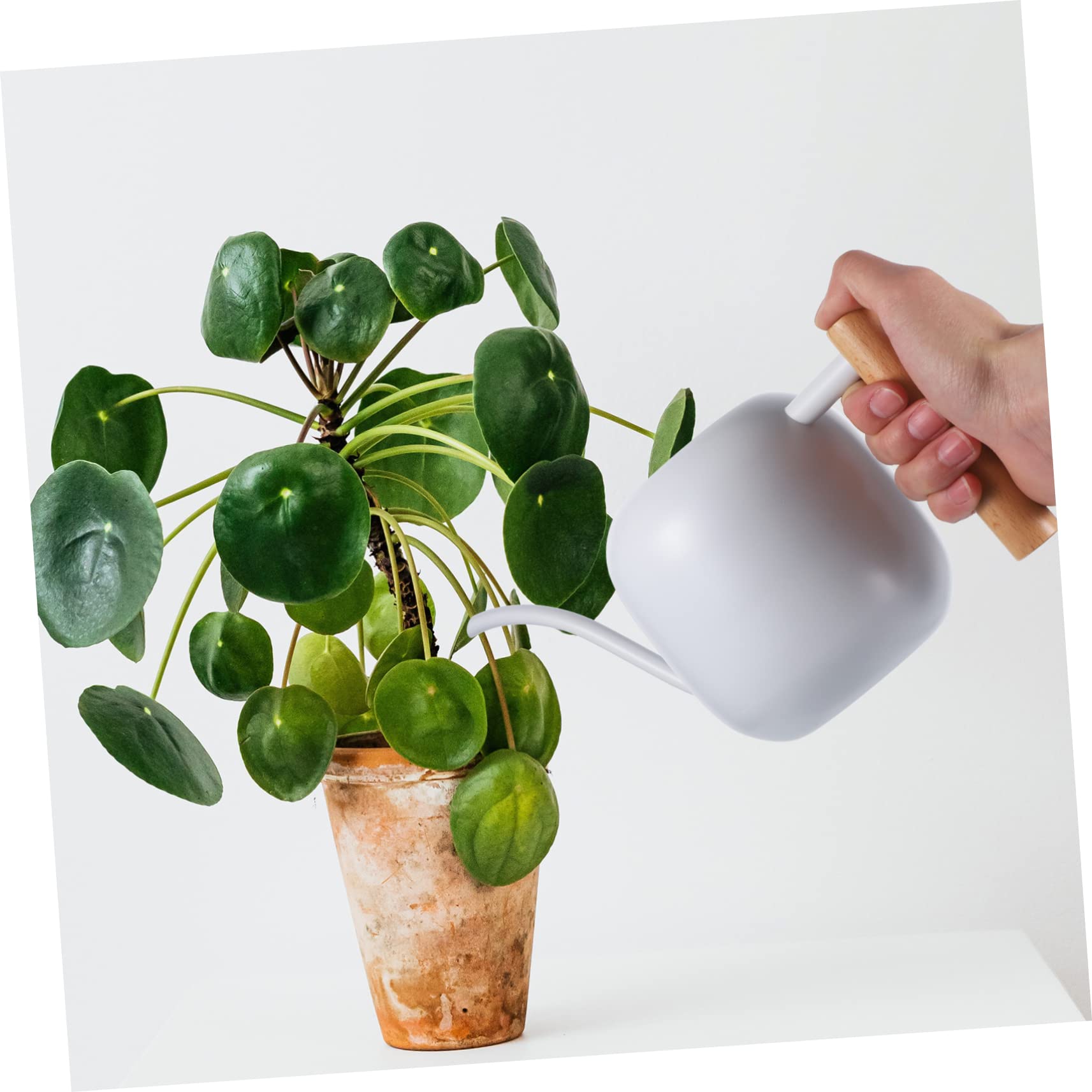 Mikikit Arrosoir Acier Inoxydable avec Long Bec et Poignée pour Arrosage de Plantes Intérieur Jardin Pratique et Ergonomique