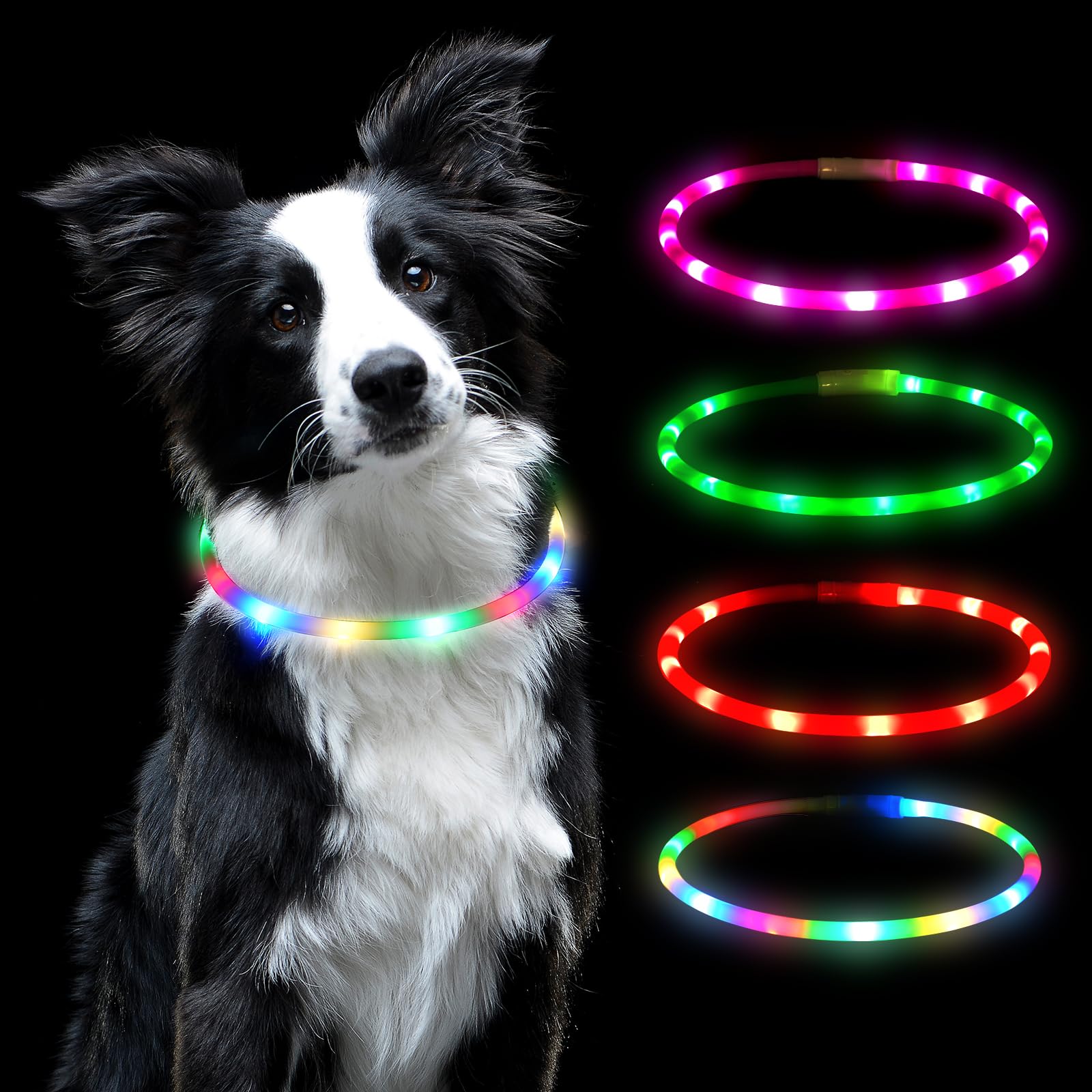 AUAUY Collare Luminoso per Cani, Collare per Animali Domestico LED Ricaricabile USB, Collare di Lunghezza Regolabile con 4 Modalità Luminose per Cani di Taglia Piccola Media Grande - Colorato
