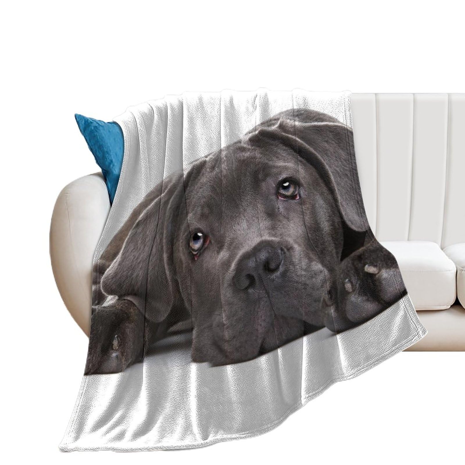Couverture chiot noir en flanelle isolante contre le froid hivernal sur lit et canapé
