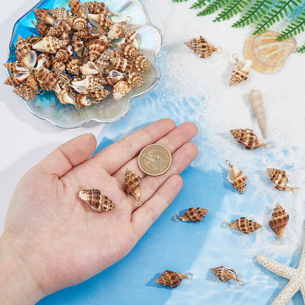 SUPERFINDINGS 60 pz Ciondoli A Conchiglia Conchiglie Naturali Ciondoli Oceano Mare Ciondoli Spiaggia Filo di Rame Avvolto Spirale Naturale Dorato Chiaro per Artigianato Fai da Te, Foro: 3mm