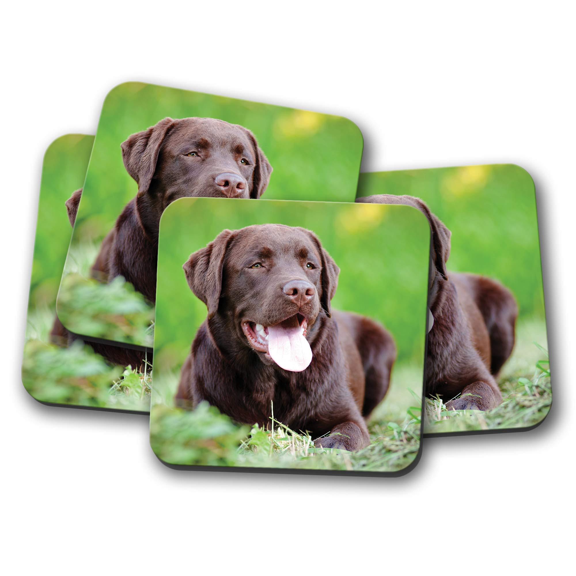 Destination Vinyl Ltd Multicolor 4 Set - Chocolate Labrador Coaster - Dog Puppy Cute Pet Choccy #15829