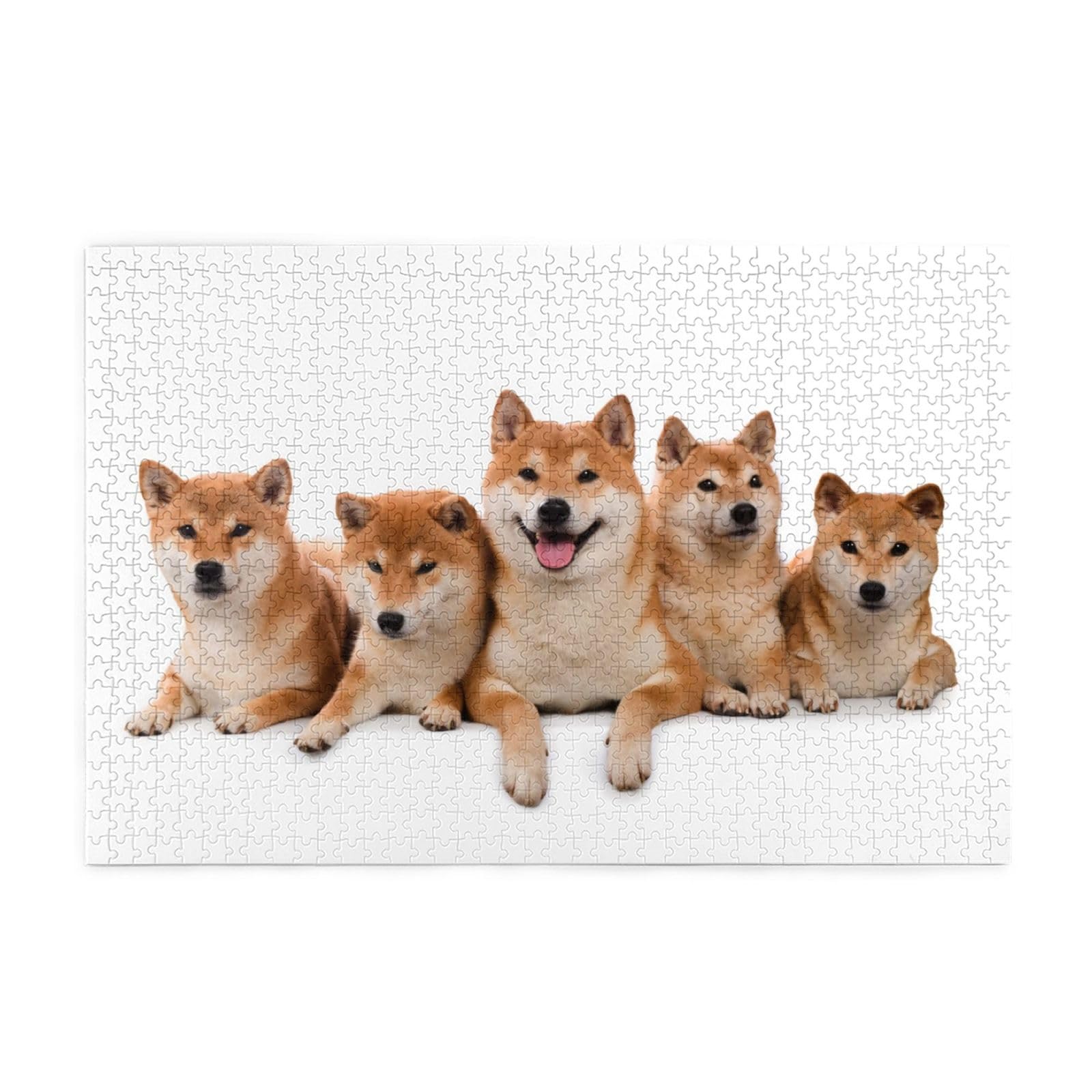 Amazon.co.jp: パズル 柴犬 いぬ 犬柄 かわいい 可愛い おもしろ