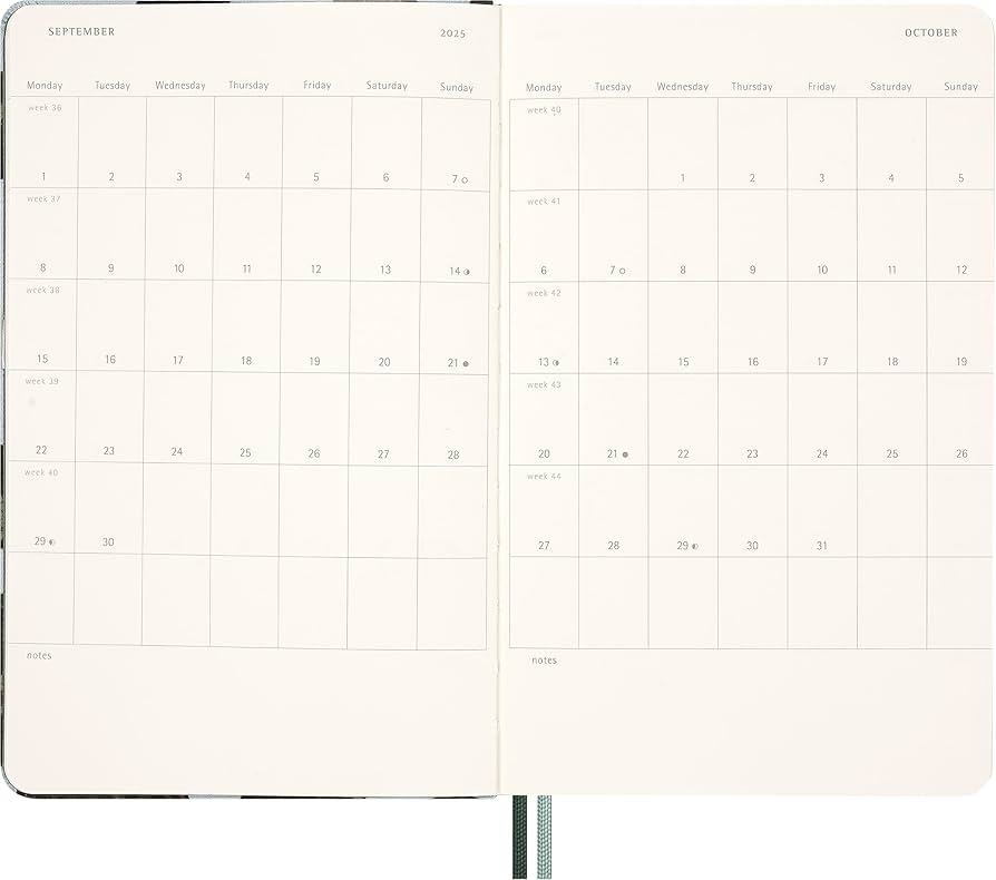 ESSENCE 雑誌 セット Amazon.com : Moleskine Limited Edition Year of the Snake 12