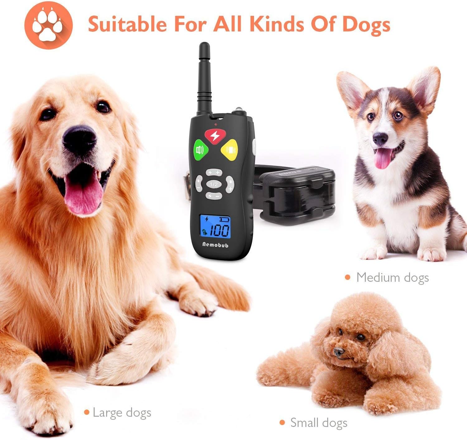 nemobub training collar