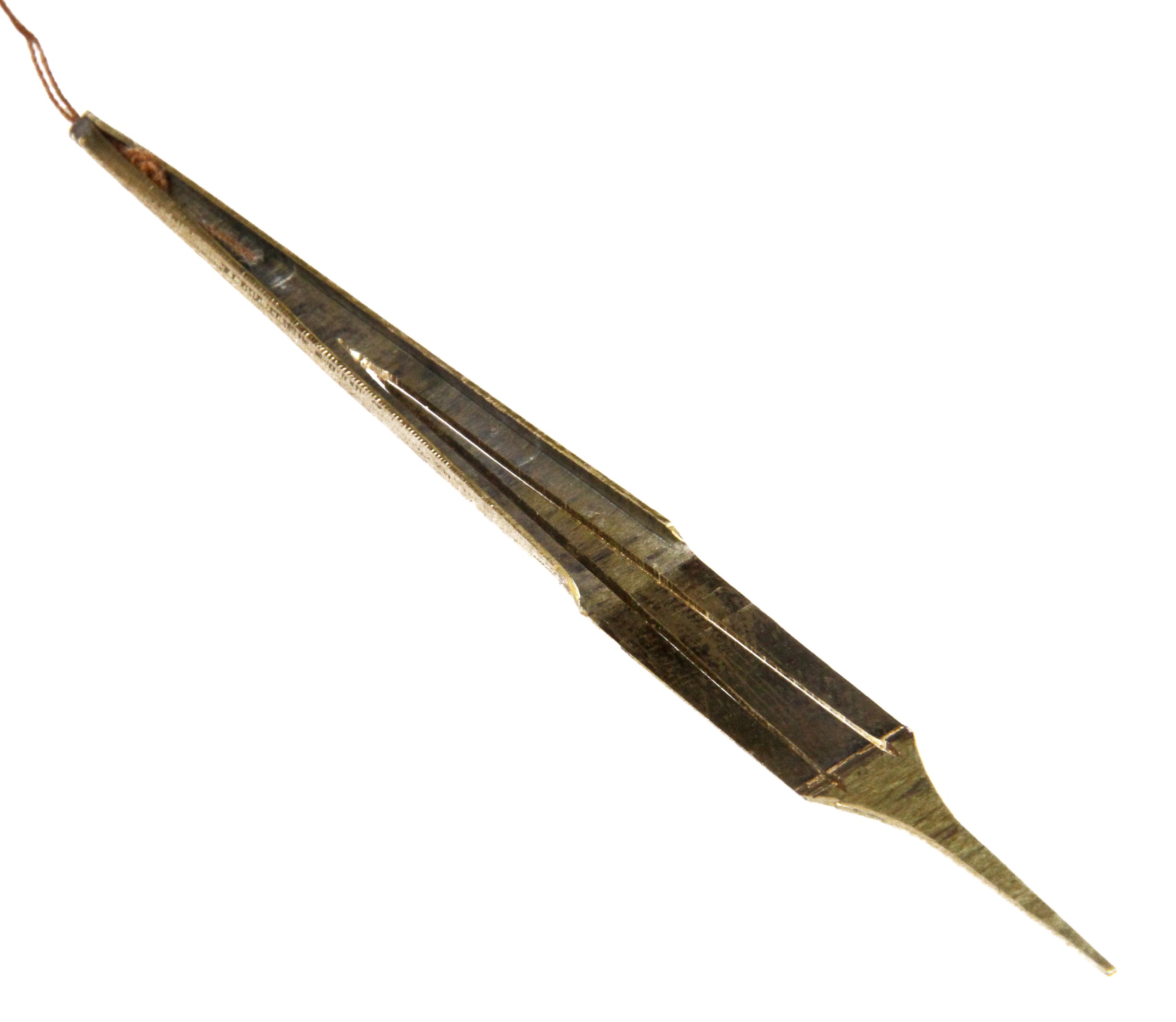 Dan Moi Standard Guimbarde à lèvres du Vietnam 10 cm Multicolore