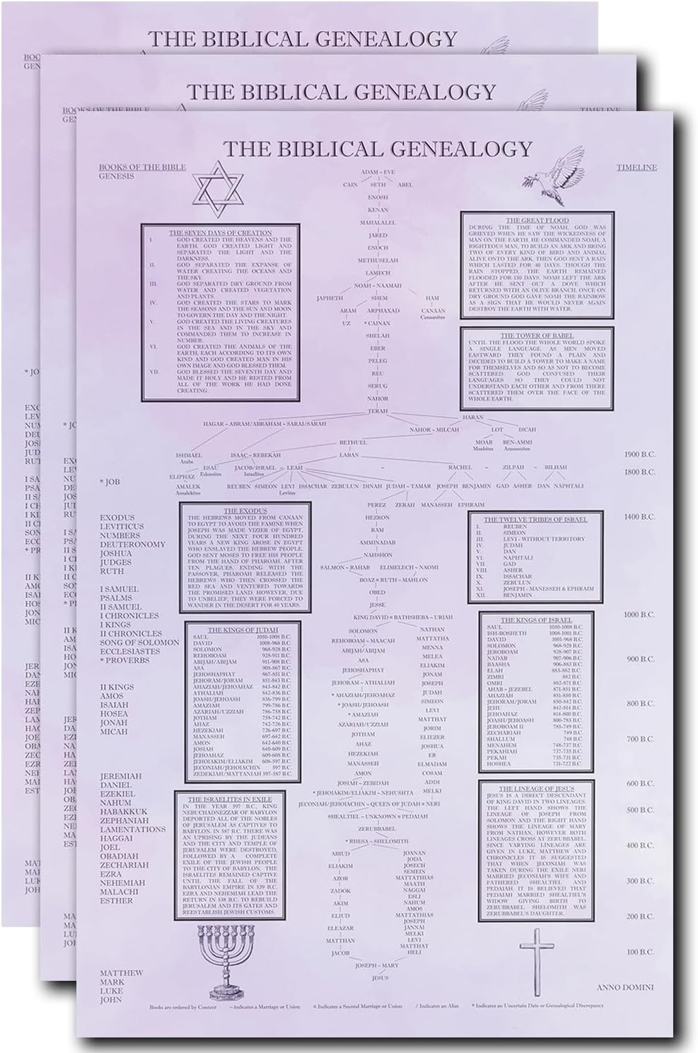 Asbury Rose Biblical Genealogy Chart – Bible Family Tree from Adam to Jesus Christ, Clear and Easy to Follow Timeline, Gift for Pastors, Bible Study Leaders, Christians (2 Pack)