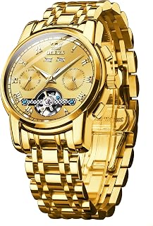 Self Winding Watches for Men Automatic Mechanical Dress Tourbillon Stainless Steel Dual Calendar Waterproof Luminous Wrist Watch