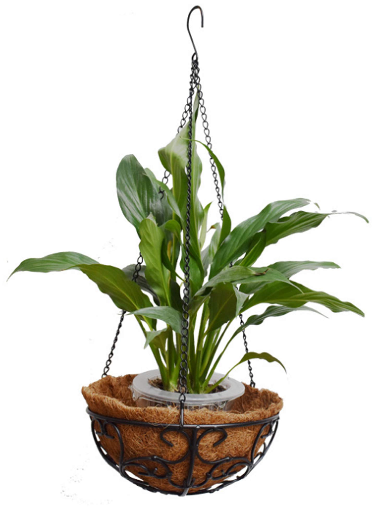 TREEZITEK 4 Pack Metal Hanging Plant Basket with Coco Coir Liner,Round Wire Plant Holder with 18" Hanging Chain for Hanging Plant and Flower