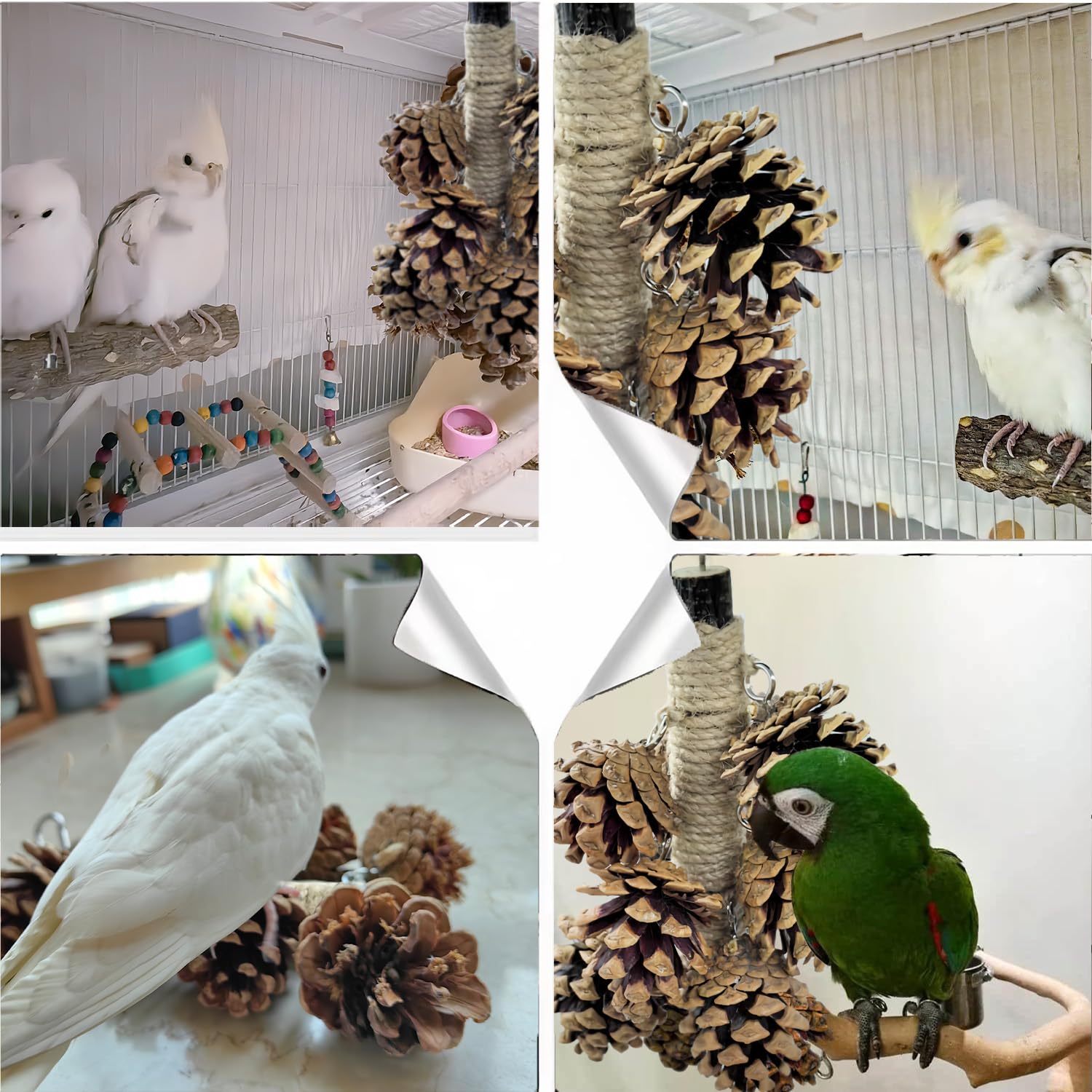 WACURRENTHYD Bird Toys with 8 Pine Cones - Natural Wooden Parrot Toys, 8 Inch Hangable Chewing Sticks Toys for Conures Parakeets Cockatoo African Grey Amazon Parrots — view 6