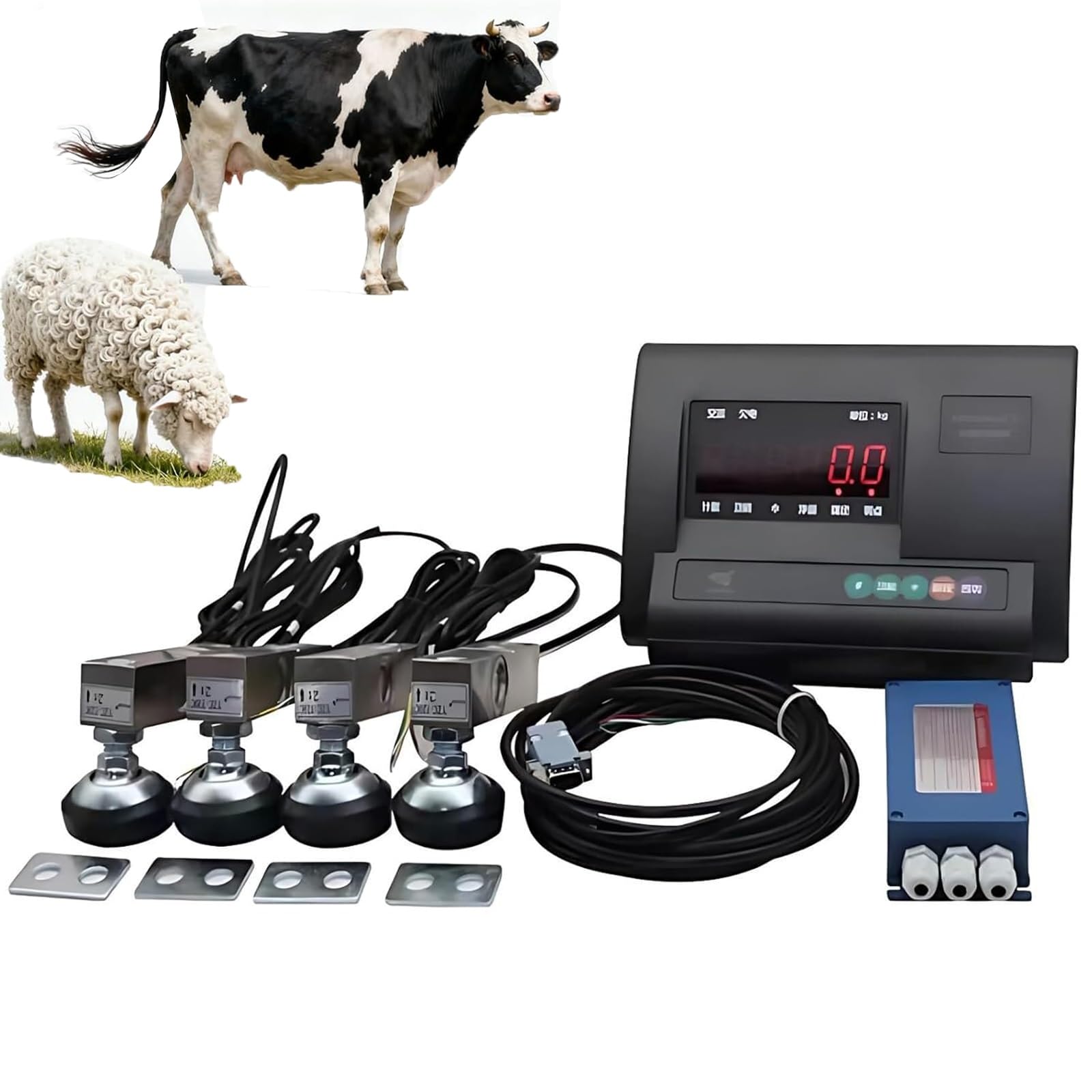 Peser le bétail sans erreur grâce au kit de balance agricole étanche 5T