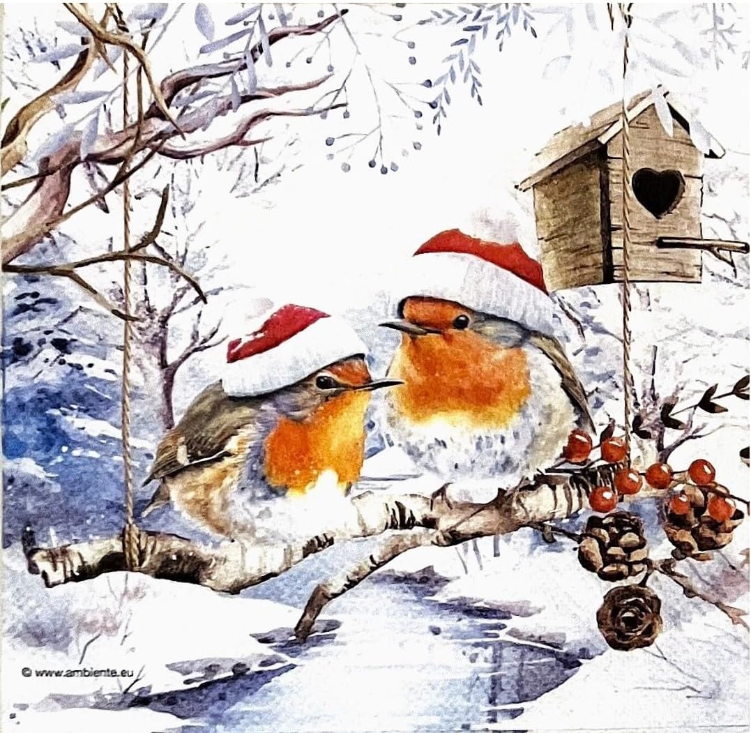 12 Styles Assorted Christmas Napkins for Decoupage - Variety of Winter Bird Designs - Decorative Paper for Beautiful Holiday Crafts - 1 Each 6.5