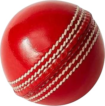 Maxx Cricket Set (10pc) – Bat, Leg Pads, Gloves, Ball, Guard, Thigh Pad