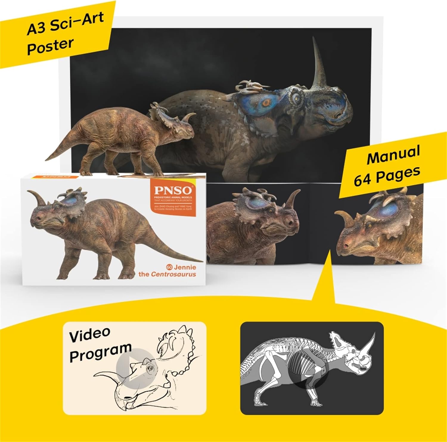 60 Jennie Centrosaurus Figure Triceratops Ceratopsidae Scientific Art Model