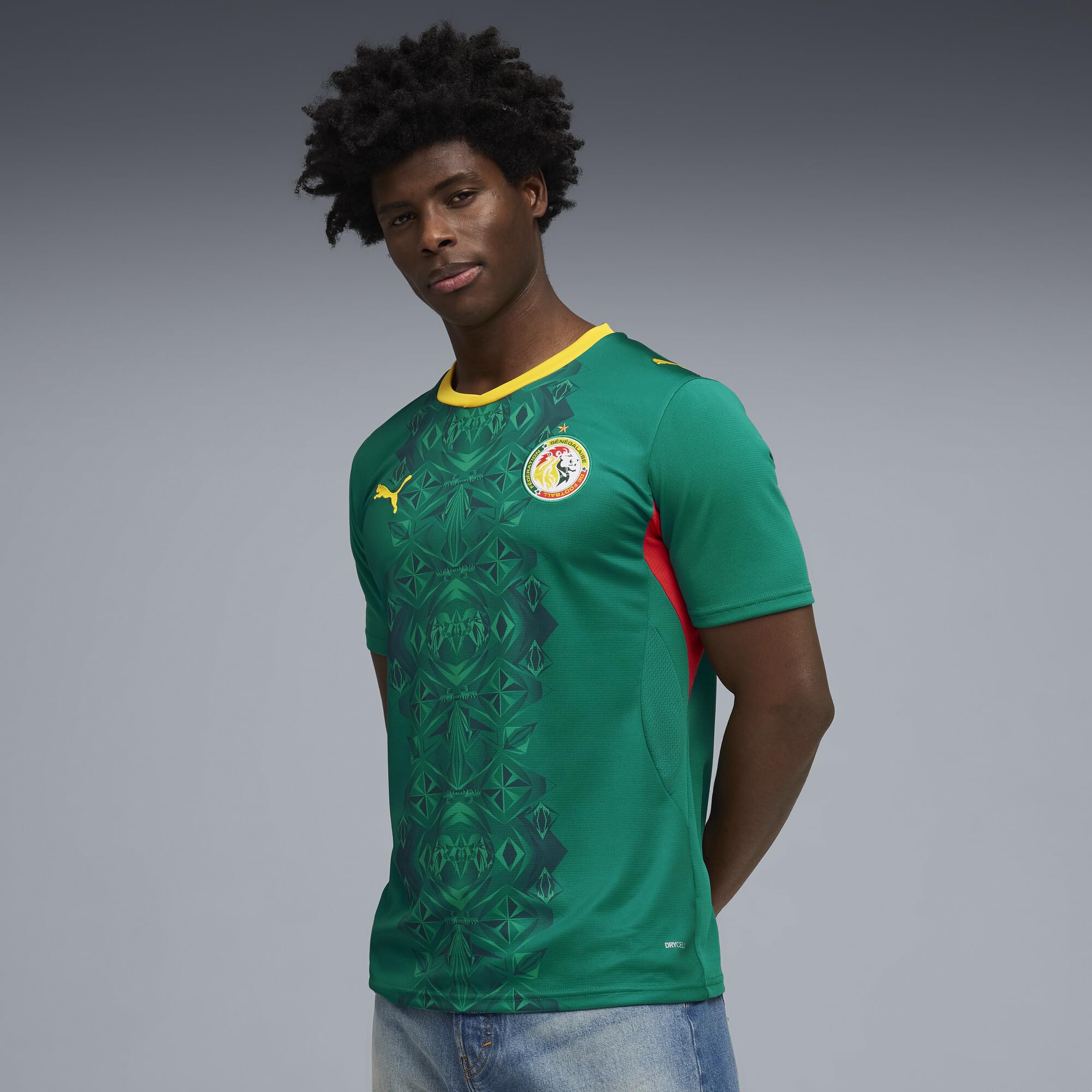 Puma Herren Senegal FA Auswärtstrikot Replica
