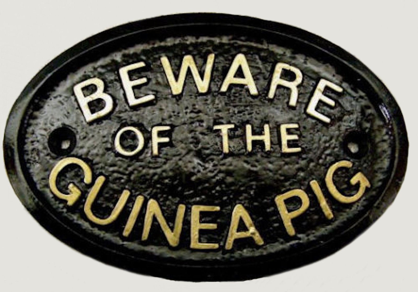 Artisan Gold "Beware Of The Guinea Pig" House/Garden Wall Plaque (Black) With Raised Lettering