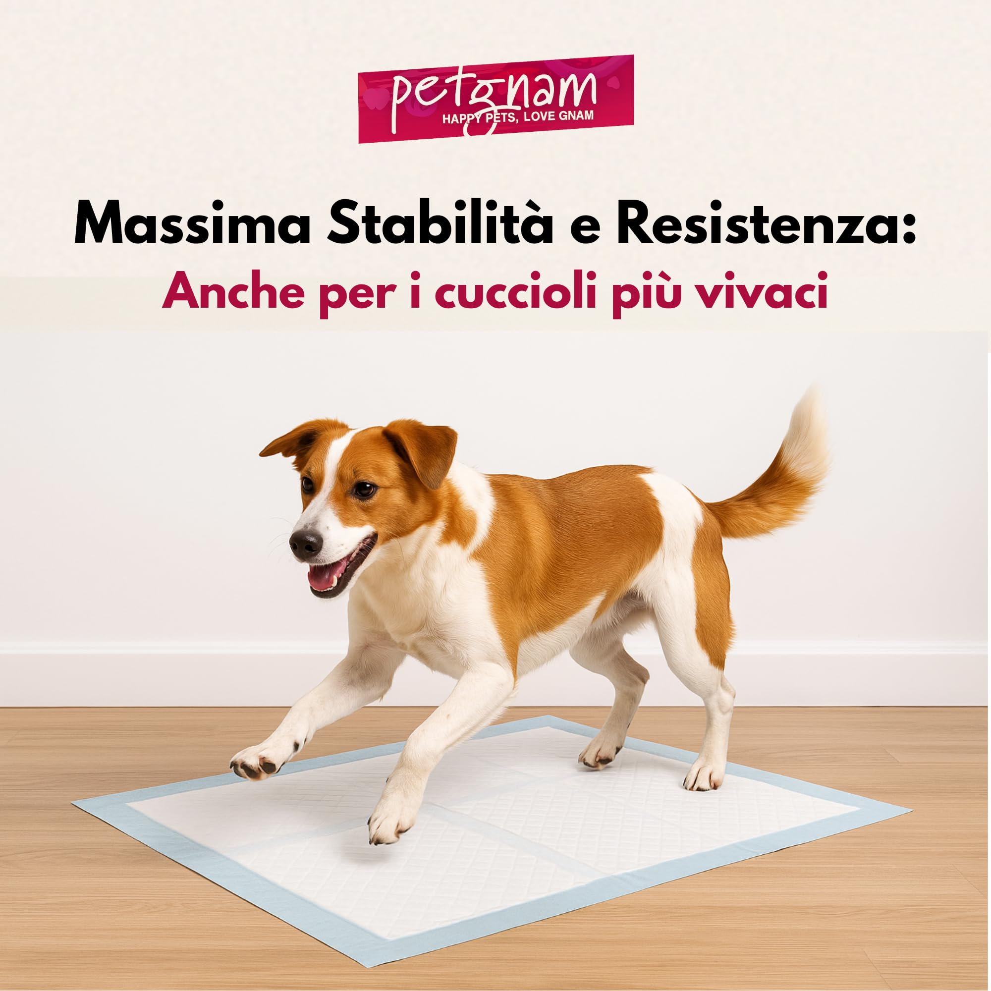 Traversine per Cani a 5 Strati - Tappetini Assorbenti con Gel, Antistrappo e Contro gli Odori - Base Antiscivolo per Cani e Gatti (300, 60x90)