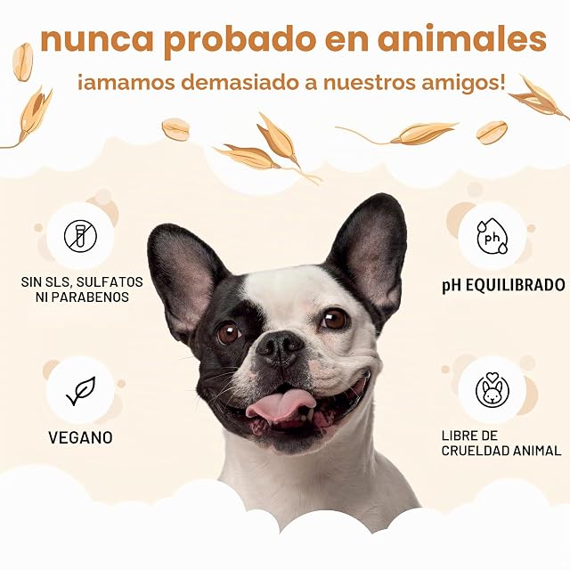 Foto 5 de 8 de Buddycare Bálsamo para patas y nariz de perro, la avena protege y repara la piel seca, agrietada y agrietada
