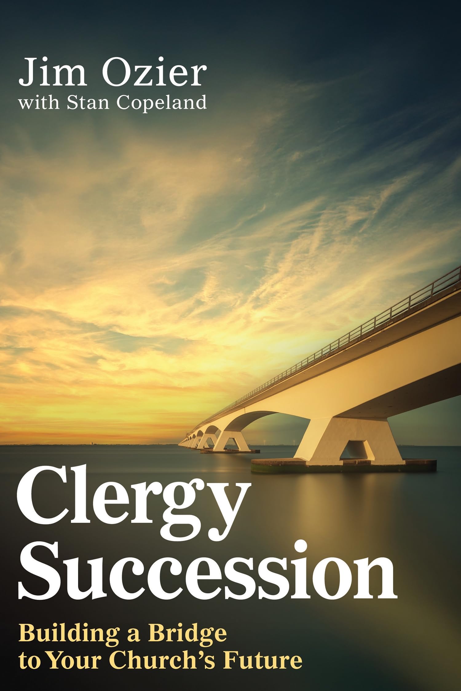 Clergy Succession: Building a Bridge to Your Church's Future (Clergy Succession)