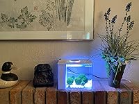 Review Image by Aunt JB