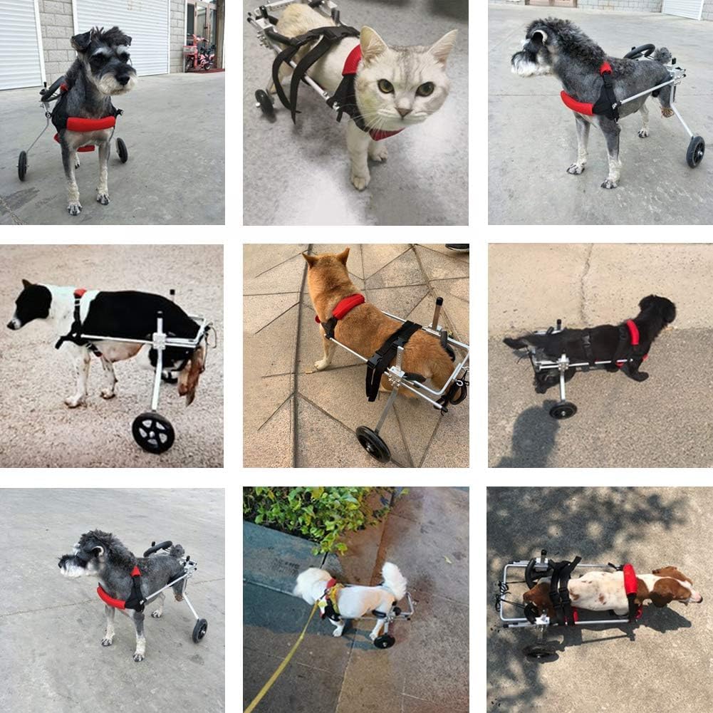 Carrello per Cani, Passeggino per Le Zampe Posteriori, Sedia a Rotelle per Animali Domestici per Zampe Posteriori, Gatti con Handicap Conigli Paralizzati Animali Disabili, 3-10 kg