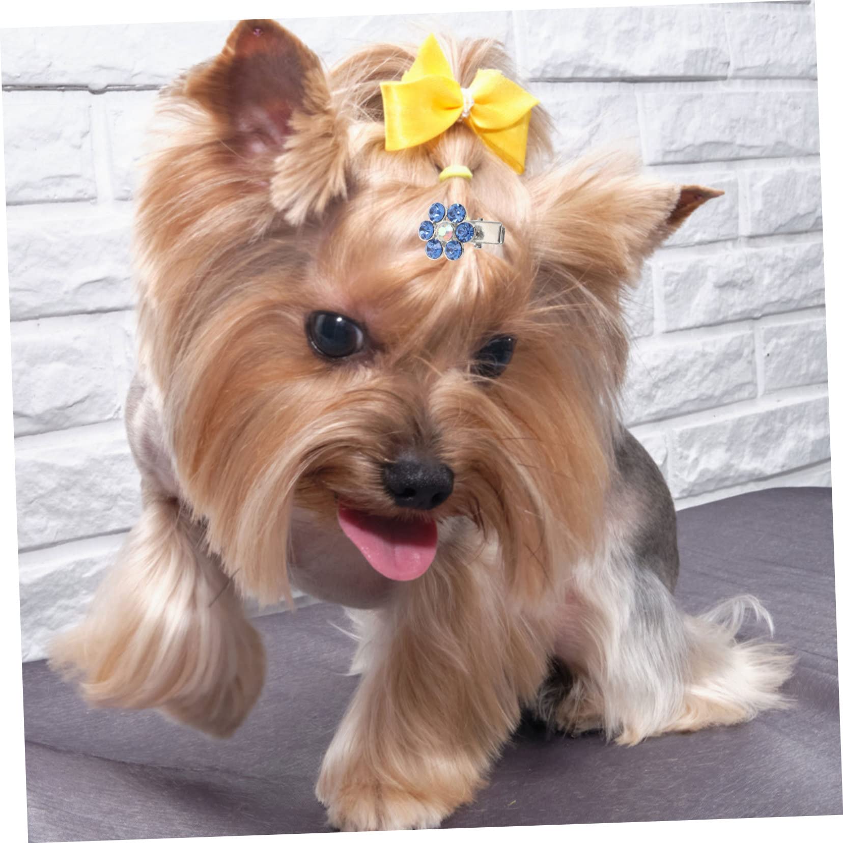 BESPORTBLE 6pezzi Fermagli Decorativi per Cani Accessori Eleganti con Testa di Cane Cristallo per Mantenere Ordine Pelo del Tuo Animale Domestico Disponibili
