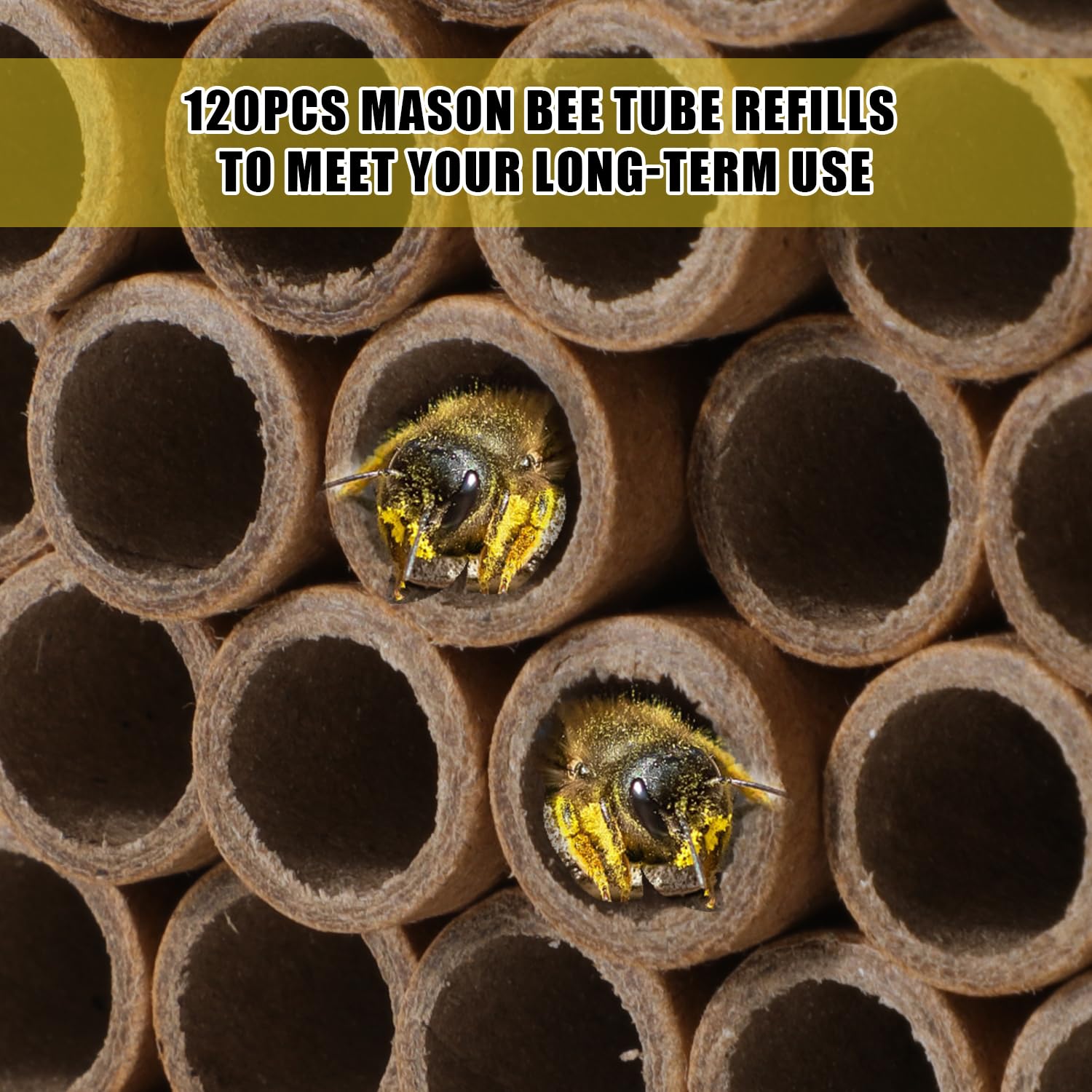 120pcs Mason Maison Abeille, 15,2cm Long Carton Recharges de Tubes d'Abeilles Diamètre Intérieur 8mm Inserts de Tubes Papier Nidification d'Abeilles Remplacement de Tubes Ruches d'Abeilles