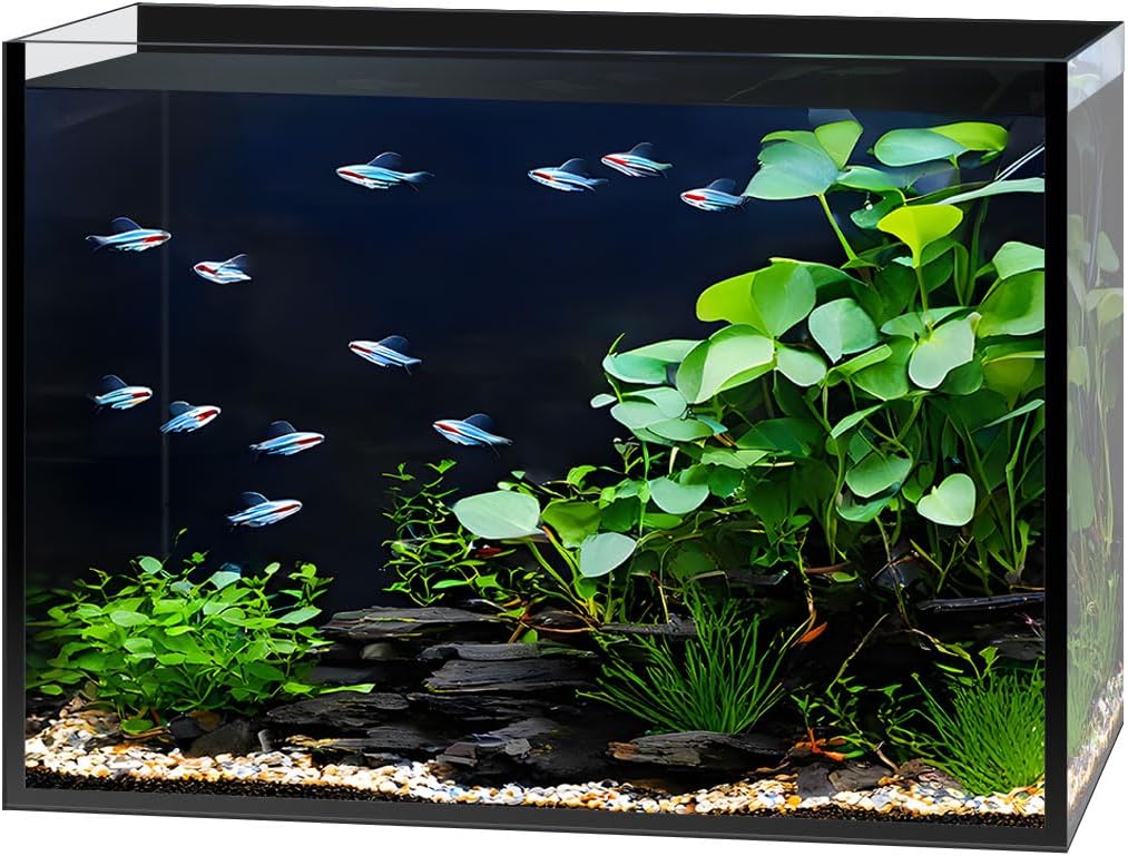 2.5 Gallon Clear Glass Fish Tank, Small Fish Tank Aquarium for Betta, Goldfish, Snail,Shrimp and Aquatic Planting