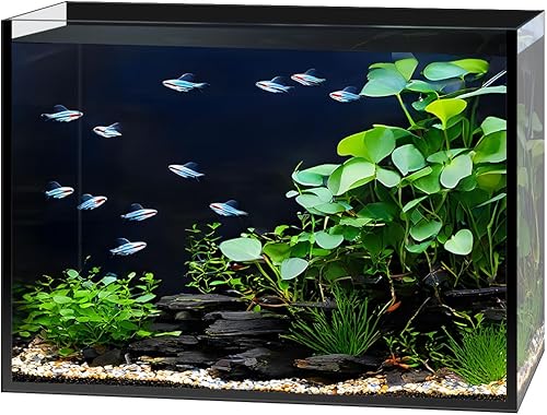 2.5 Gallon Clear Glass Fish Tank, Small Fish Tank Aquarium for Betta, Goldfish, Snail,Shrimp and Aquatic Planting