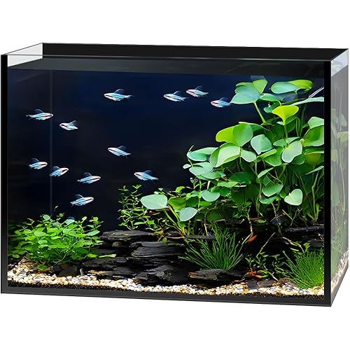 3 Gallon Clear Glass Fish Tank, Small Fish Tank Aquarium for Betta, Goldfish, Snail,Shrimp and Aquatic Planting