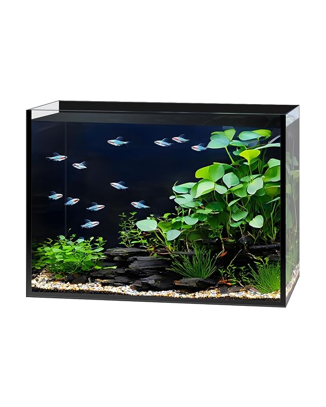 Aquário Nano de Vidro Transparente com Fundo Preto minilake FKT3B 9,46 L