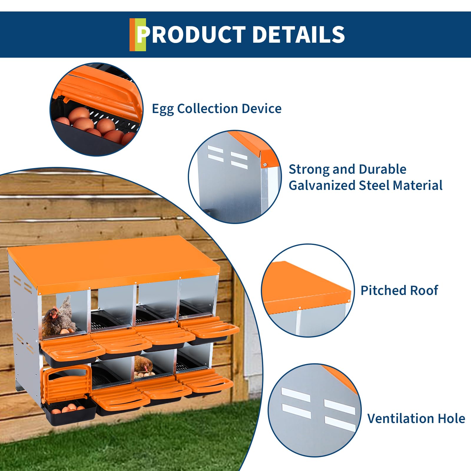 Legenester für Hühner, automatisches Rollauslauf-System, aus verzinktem Metall, langlebig, ideal für Hühnerstall, saubere Eier, Orange, acht Fächer.