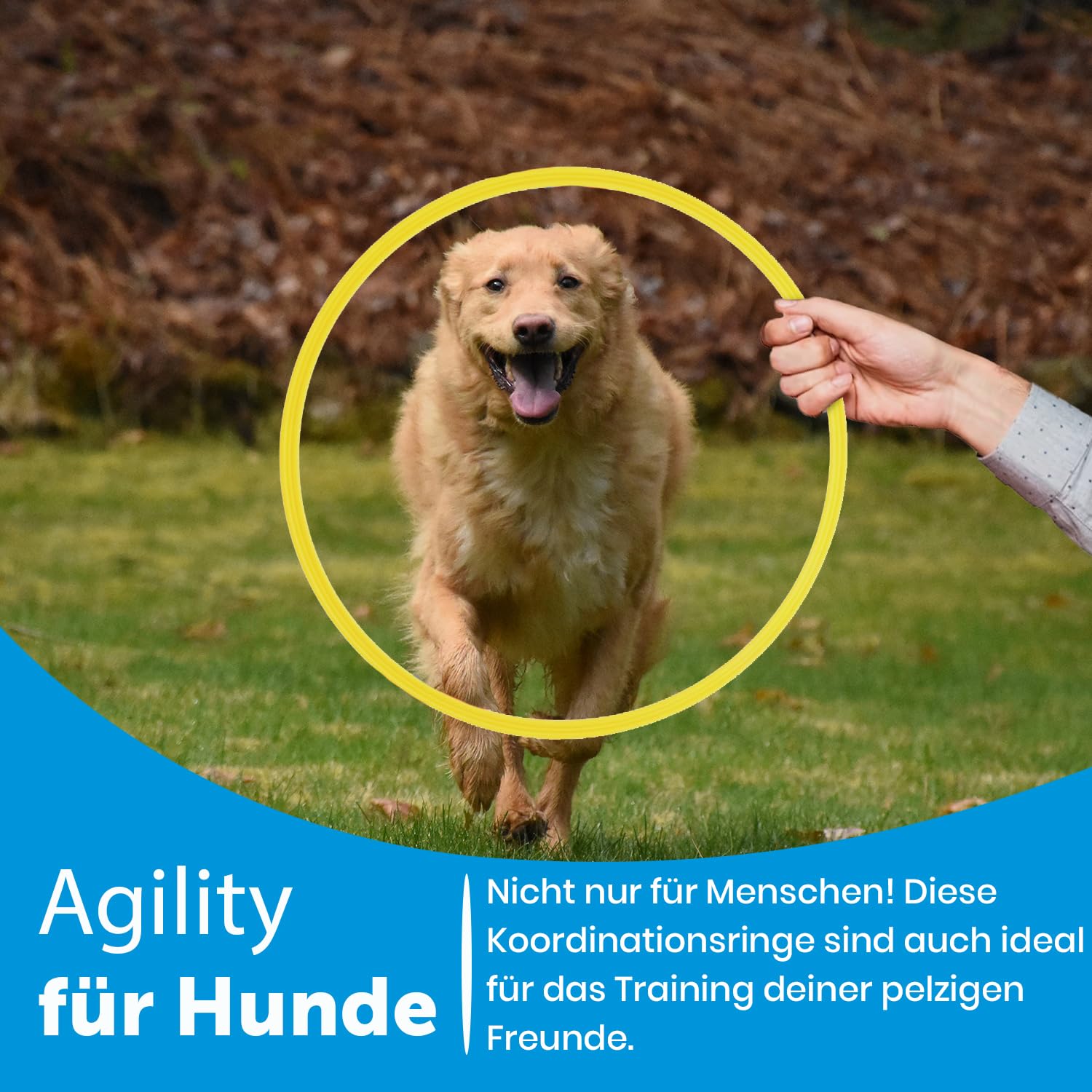 Lot de 12 anneaux de coordination avec sac | Entraînement pour ballon de football | Agility pour chiens