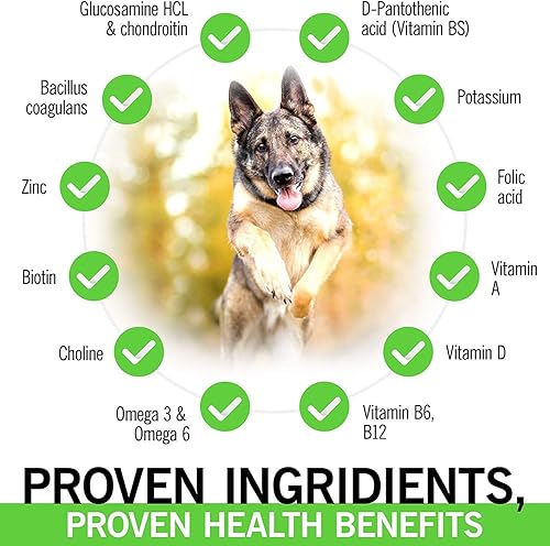 Miniatura 4 de IE - Multivitaminas para perros 4 en 1 | Apoyo para las articulaciones, salud inmunológica, salud de la piel y el corazón | Apoyo para las