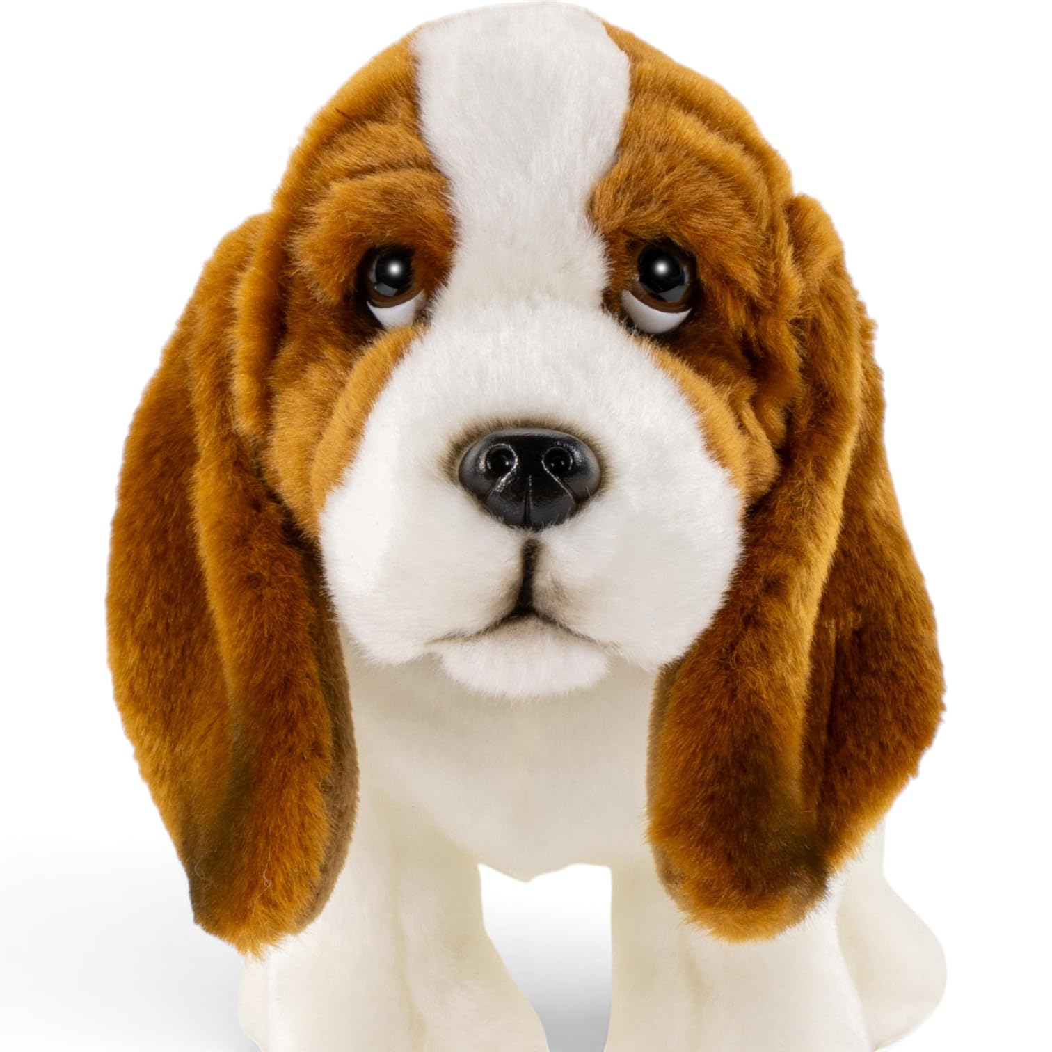 Carl Dick Basset in piedi, peluche, animale di peluche, ca. 32 cm 3622
