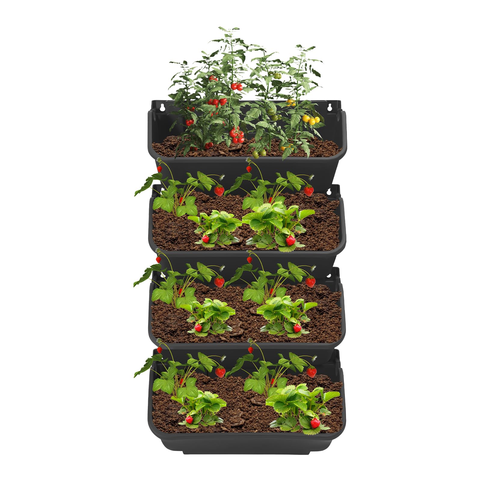 Wandblumentopf Set 16-teilig, Blumentopf Pflanzen Wandhalterung(Schwarz)