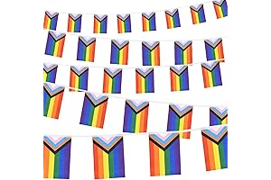 Celebrate Pride with Vibrant Progress Pride Pennant Flags