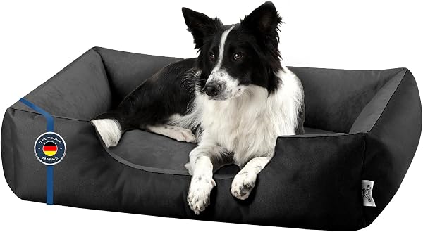 BedDog Lit pour Chien L - Orelier - Panier - Canapé - Housse Amovible, Lavable, pour Moyen-Petits Chiens - 2