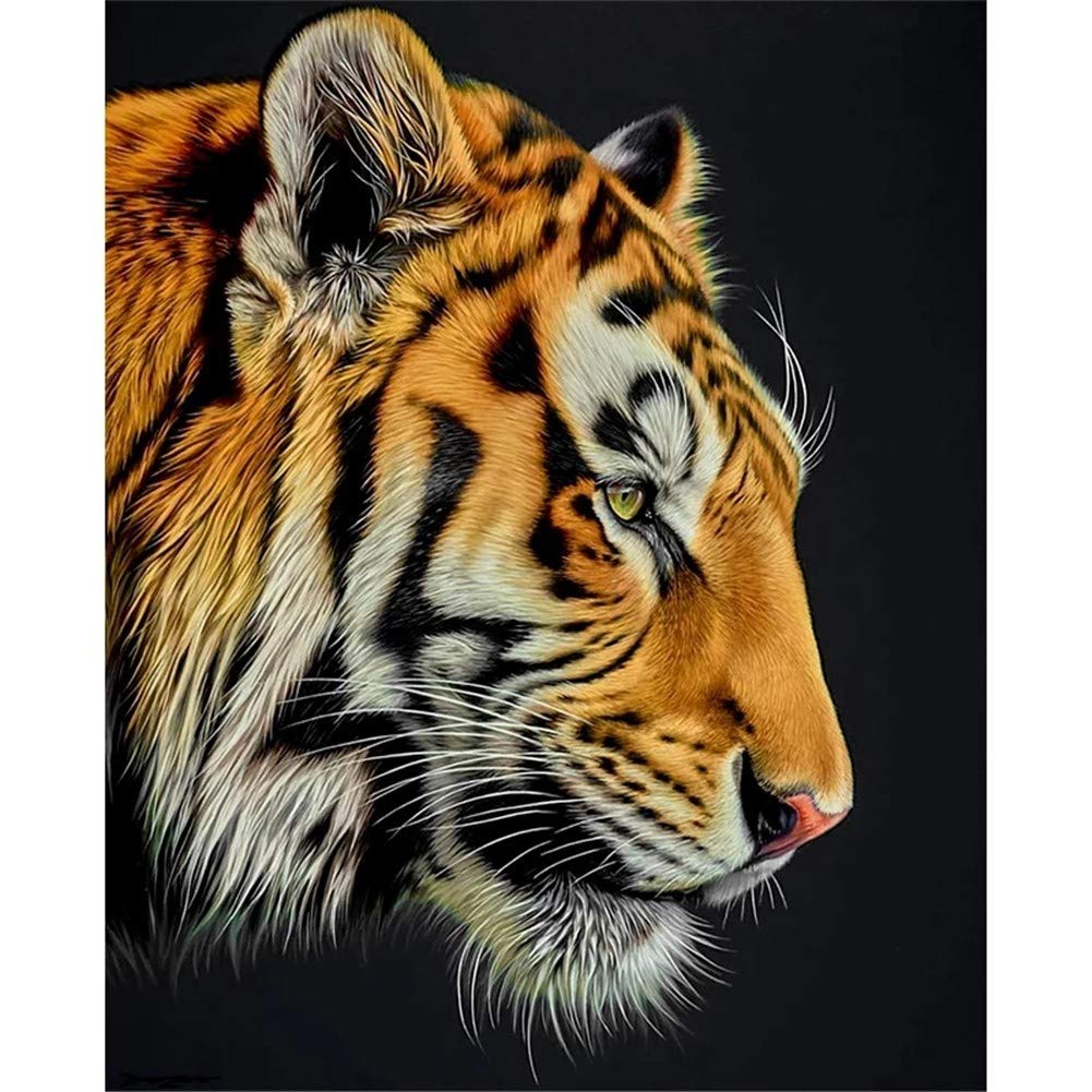 Kit peinture diamant 5D complet tigre féroce tableau strass de salon