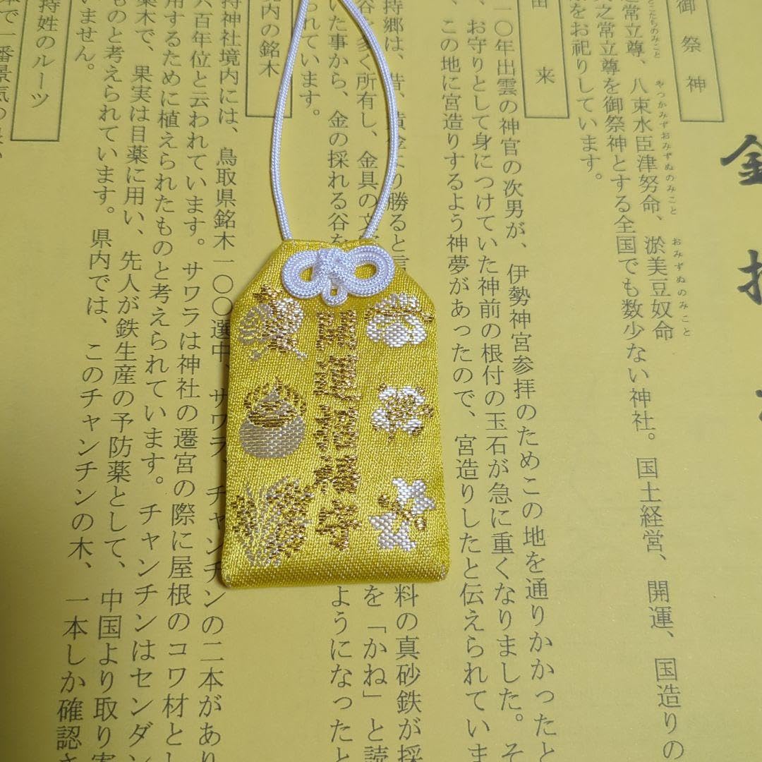 Amazon.co.jp: 金運金持神社 御守り 3体 : ホーム＆キッチン