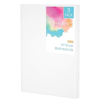 画材 キャンバス ボード 張りキャンバス 油絵 アクリル 14枚セット 大安売り】キャンバス 12枚入 木枠 油絵 張りキャンバス 画材
