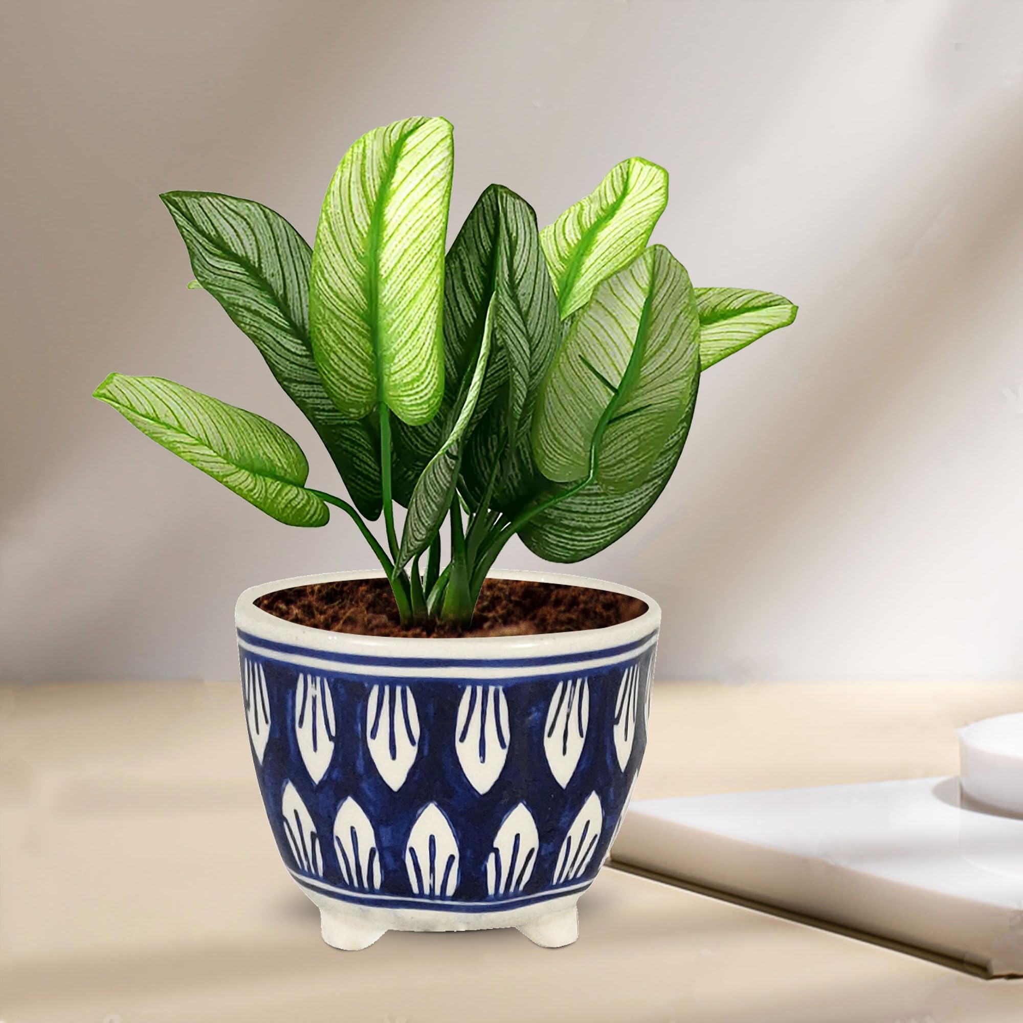 See full amazon price history chart for Lasaki Sharon Ceramic Pots for Indoor Plants, Planters, Flower, gamla,Outdoor,Balcony,Home,Round,Garden, Office Decor,Succulent(H - 8.5 X D - 10.5 cm)(Plants not Included)(Any Color May Come) Lasaki Sharon Ceramic Pots for Indoor Plants, Planters, Flower, gamla,Outdoor,Balcony,Home,Round,Garden, Office Decor,Succulent(H - 8.5 X D - 10.5 cm)(Plants not Included)(Any Color May Come) (B0C1CR2S1R) Amazon Price History, Amazon Price Tracker