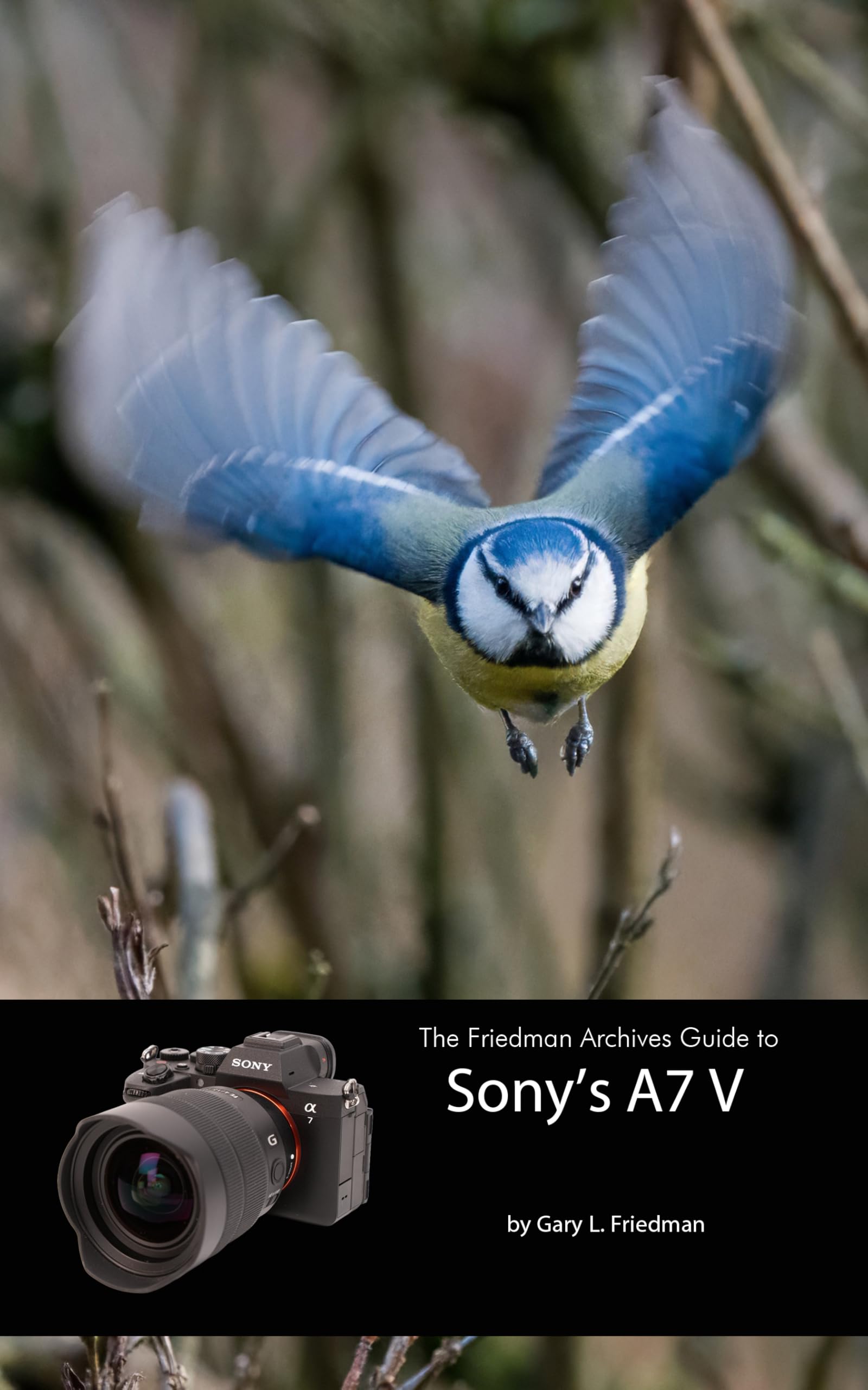 Guide Sony A7 V Friedman : optimisez l'autofocus et les menus de votre boîtier hybride