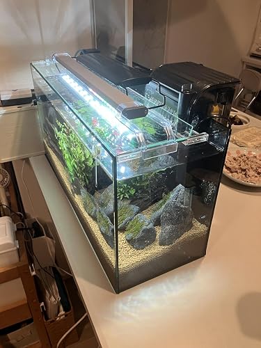 Amazon | Tetra テトラ オールグラスアクアリウム520 熱帯魚セット