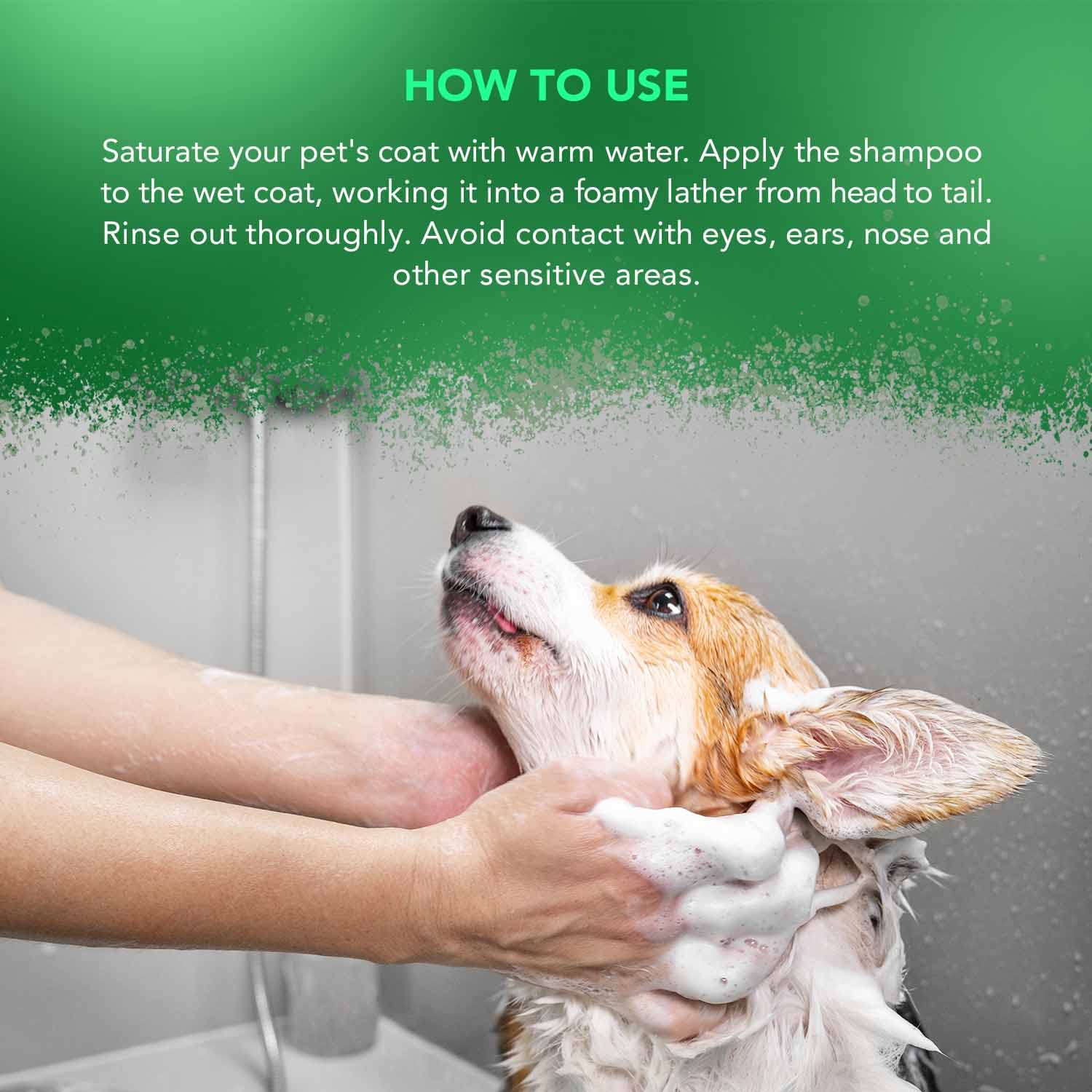 WAHL Aloe Soothe Shampoo - Shampoo per animali domestici, formula delicata, per pelli sensibili, concentrato 15:1, delicato, 500ml