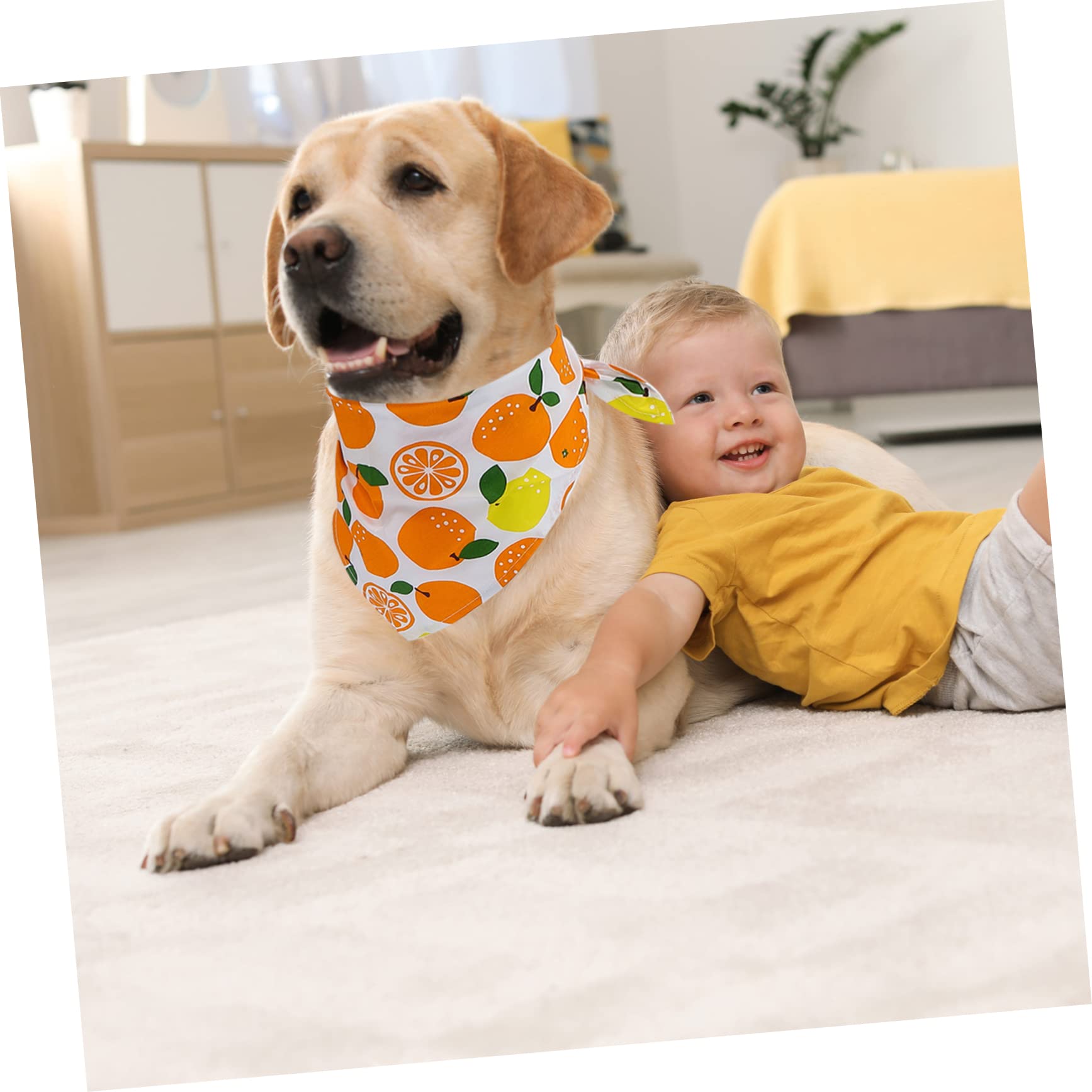 BESPORTBLE 15pièces Bandanas pour Chiens Et Écharpes Coton Motif Fruits Accessoire De pour Animaux De Chaque Motif Pomme Verte Vert Orange Fraise Banane