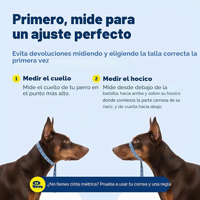 Foto 6 de 8 de PetSafe Collar de Cabeza DVD de Entrenamiento (Idioma español no garantizado)