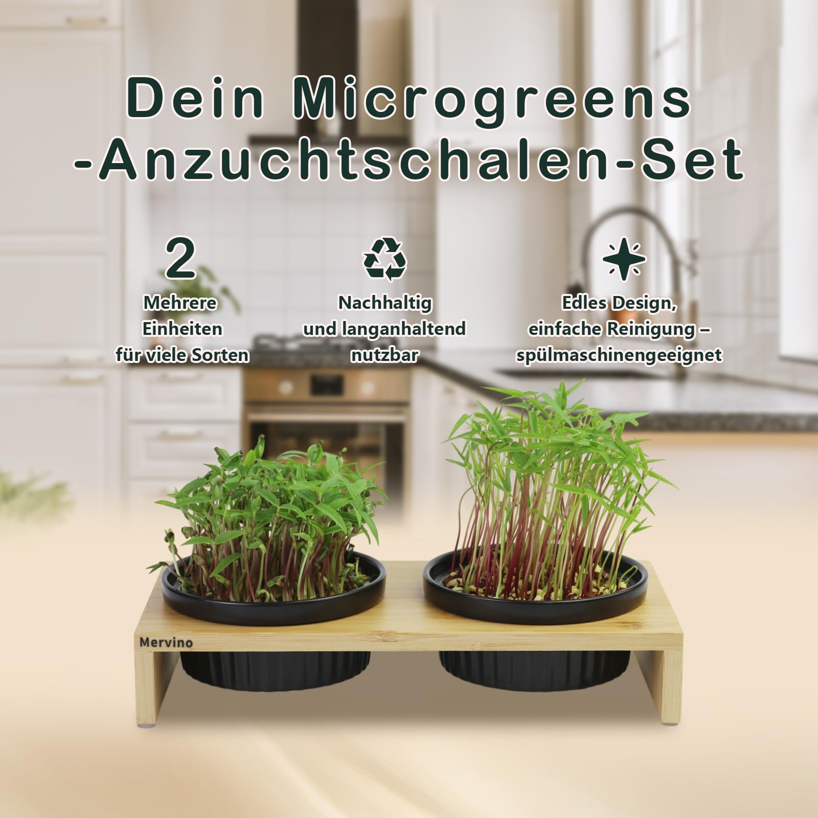 Mervino Kresse Anzuchtschalen Set mit 2 Hochwertigen Keramik-Anzuchtschalen, 2 Edelstahlsieben & Bambusständer – Praktisches Sprossen Anzuchtset für Microgreens, Kressesamen und Keimlinge,Schwarz